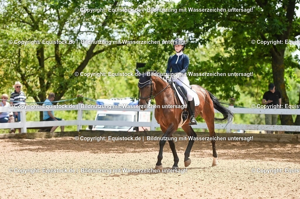 20230716_03_Dressurprfg. Kl.L - Tr._0287 | equistock