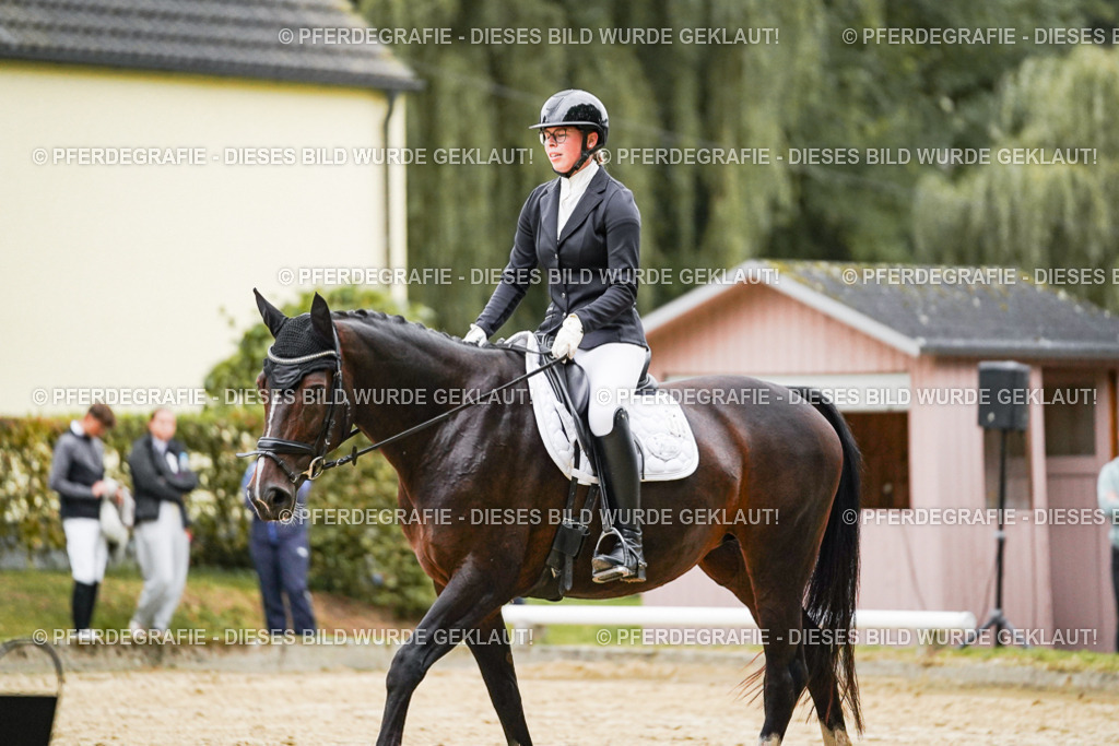 DSC06798 | Pferdegrafie