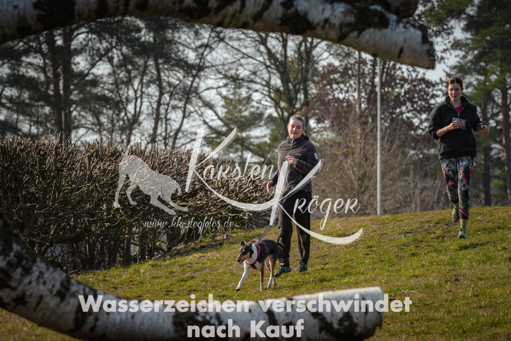 0943_ZZ99742 | kk-dogfotos