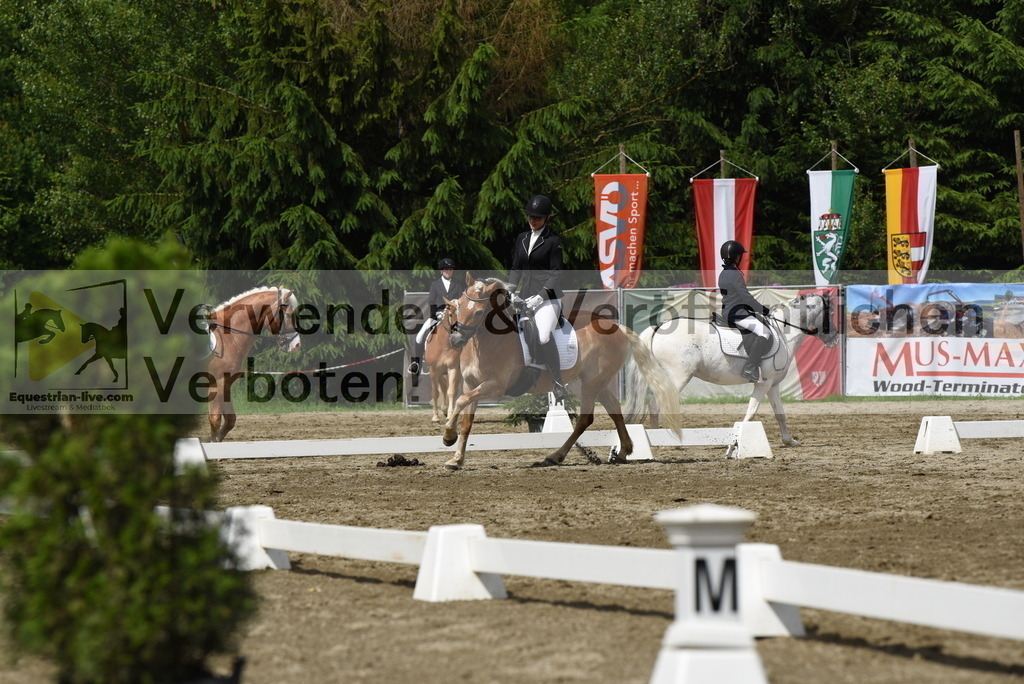 DSC_8547 | equestrian-live-com