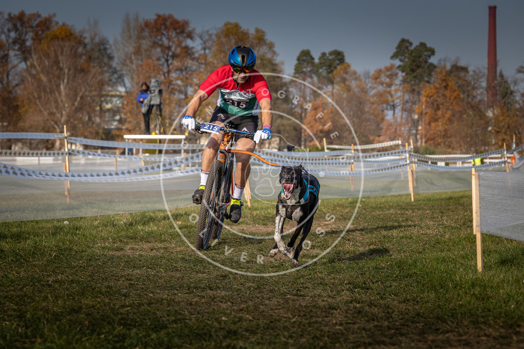 CaniXpix_0L8A7277 | Hundefotografie, Tierfotograf, Pfotenfotografie, Fotoshooting Hund, Hunde Portrait, Hundesport, Hundeportraits, Heideshooting, Hunde, Sportfotograf, Hundefotograf, Turnierhundsport, THS,  - Realisiert mit Pictrs.com