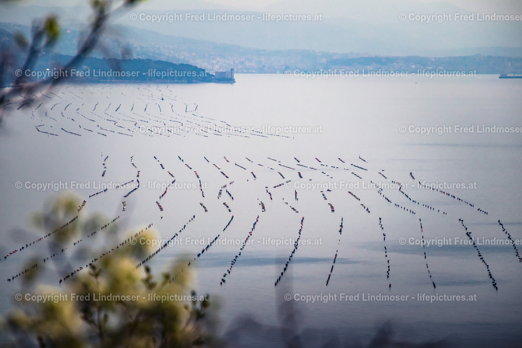 Triest_Bled 2019-5973 | Fotos und Fotoprodukte - Realisiert mit Pictrs.com