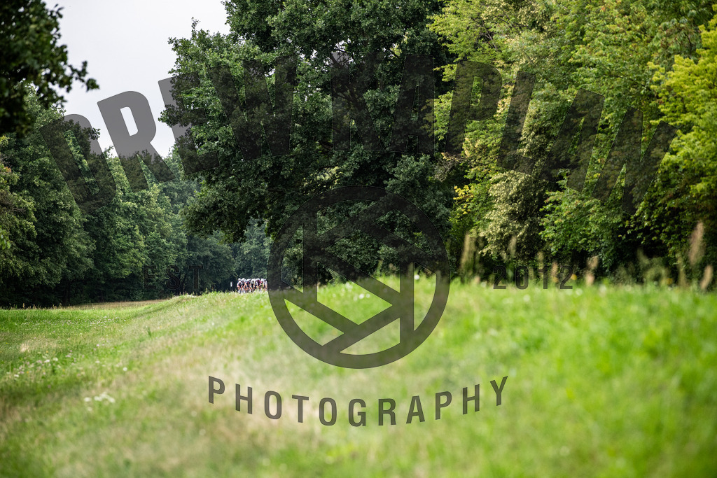 DKP-6541 | Drew Kaplan Photography