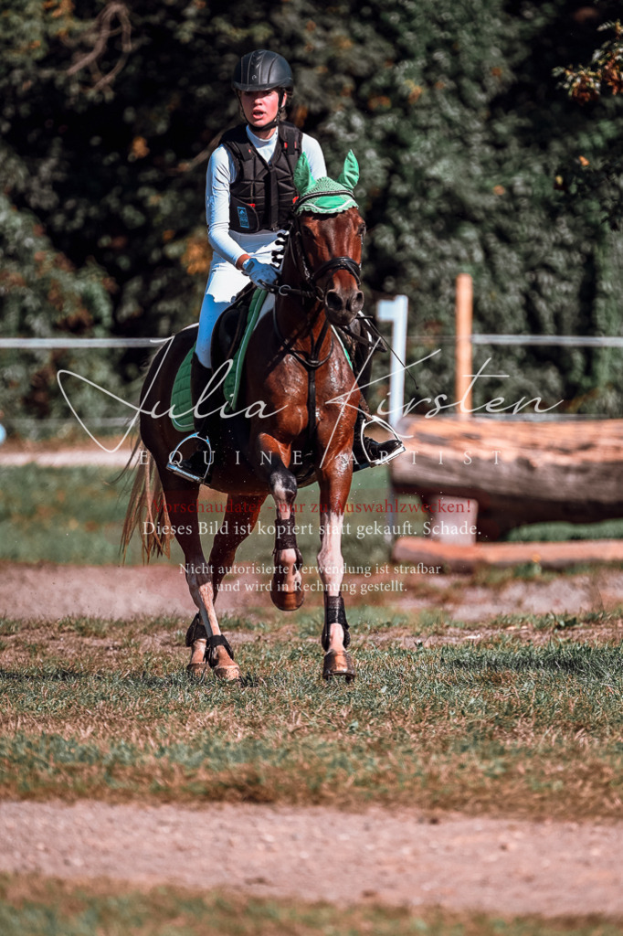 DSC_0858 | Pferde- und Turnierfotografie in Westsachsen. Pferdeportraits, Auftragszeichnungen und intuitive Kunst.