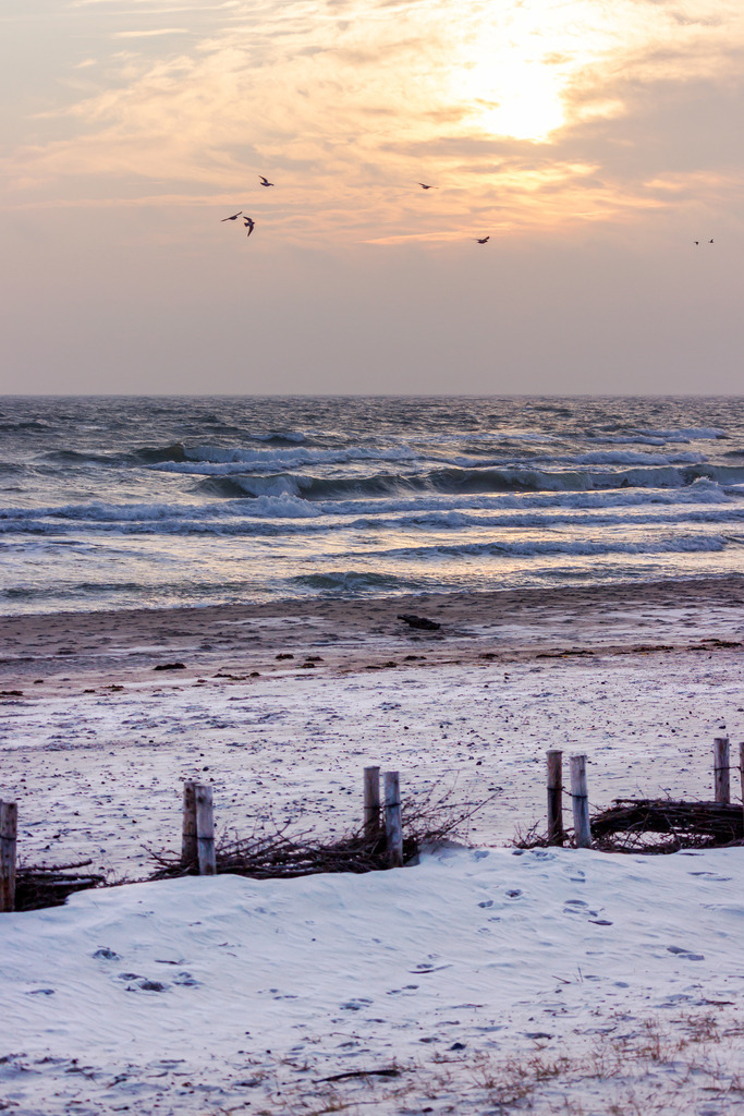 Wandbild: Sonnenaufgang an der Ostsee in Damp | Dieses Wandbild zeigt einen malerischen Sonnenaufgang an der Ostsee im Hochformat. Am Sandstrand ist im Vordergrund ein Sandfang zu sehen. Über der Ostsee fliegen einige Möwen. - Realisiert mit Pictrs.com