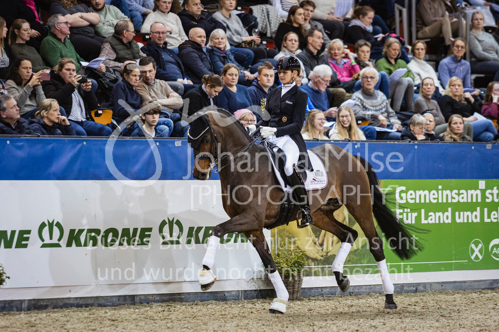 250108_Muenster_Hengstpräsentation-176 | Deine schönsten Turniermomente als professionelle Fotos! Entdecke hochwertige Pferdesport-Fotografie im Online-Shop. Jetzt Fotos finden & bestellen!