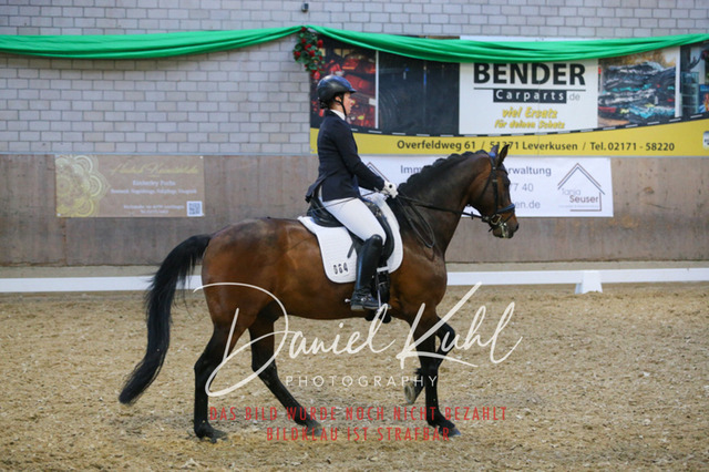 IMG_2886 | Turnierfotos kaufen im Webshop von Daniel Kuhl Photography – entdecke professionelle Reitsportfotos aus Turnieren & Events. Hochwertige Turnierbilder online bestellen & sichern. Jetzt Fotos von Reitsportturnieren kaufen!