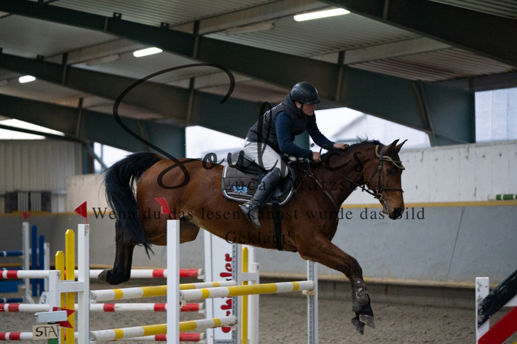 A7V08927 | Pferdefotograf