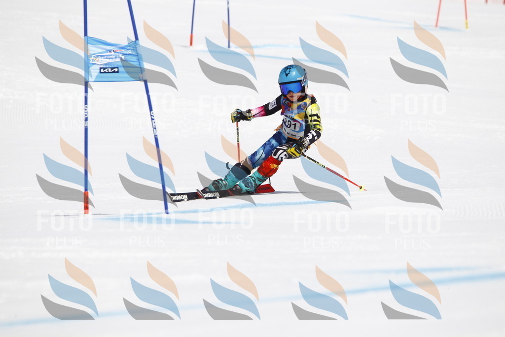 _U3G5003 | holidayphoto