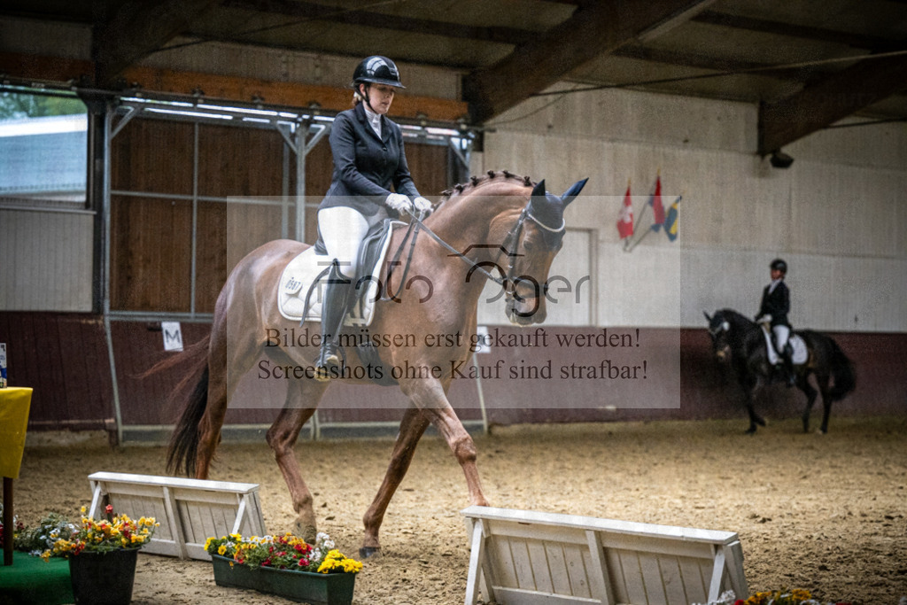 DOS_1352 | Reitturnier Lüdinghausen - Realisiert mit Pictrs.com