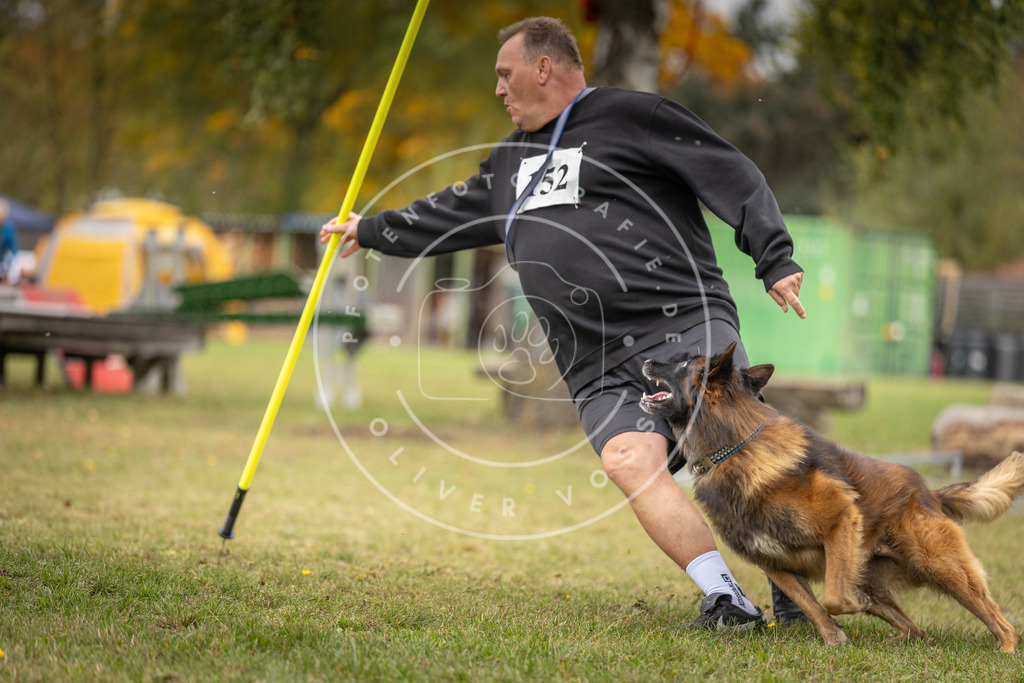 Pfotenfotografie_DV3A6183 | Hundefotografie, Tierfotograf, Pfotenfotografie, Fotoshooting Hund, Hunde Portrait, Hundesport, Hundeportraits, Heideshooting, Hunde, Sportfotograf, Hundefotograf, Turnierhundsport, THS,  - Realisiert mit Pictrs.com