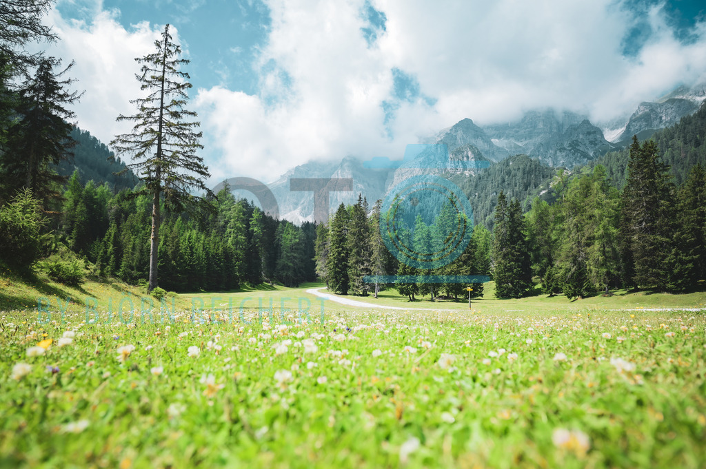 Meadow | Landschaft
© Björn Reichert/Bhoto.de