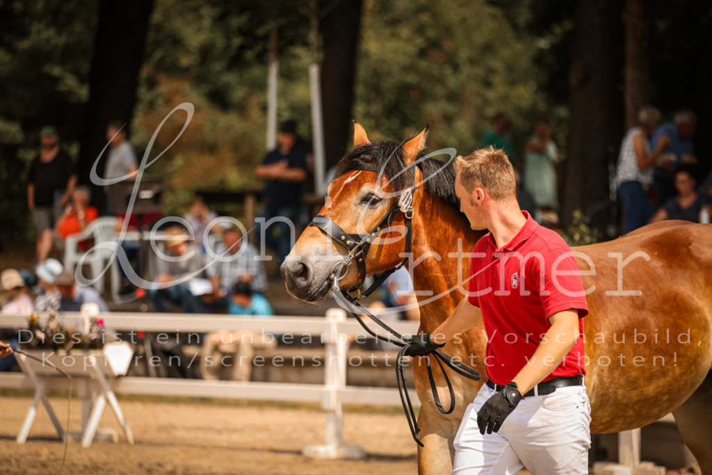 2.Sa00005 | Leoni Ertmer Photography - Realisiert mit Pictrs.com