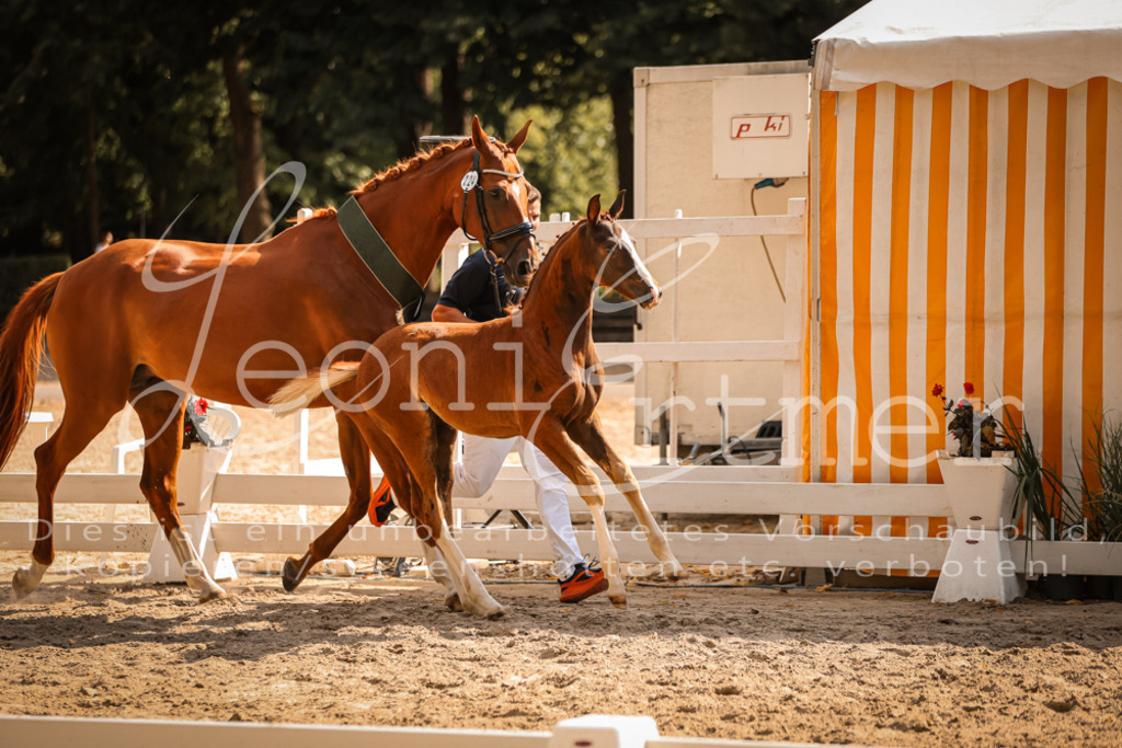 09.DoWBD00131 | Leoni Ertmer Photography - Realisiert mit Pictrs.com