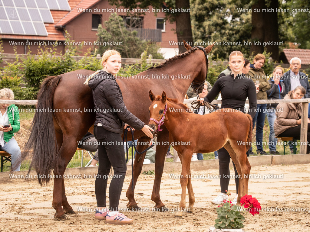 A10I3291-Verbessert-RR 15.56.14 | photographylinaismer - Realisiert mit Pictrs.com