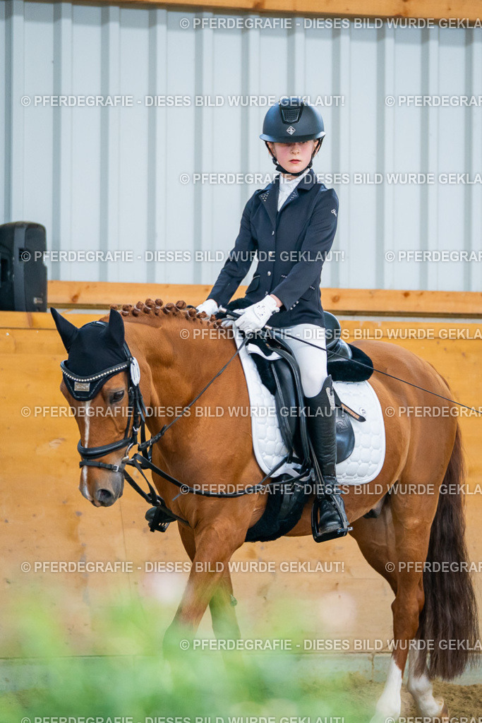 DSC01272 | Pferdegrafie