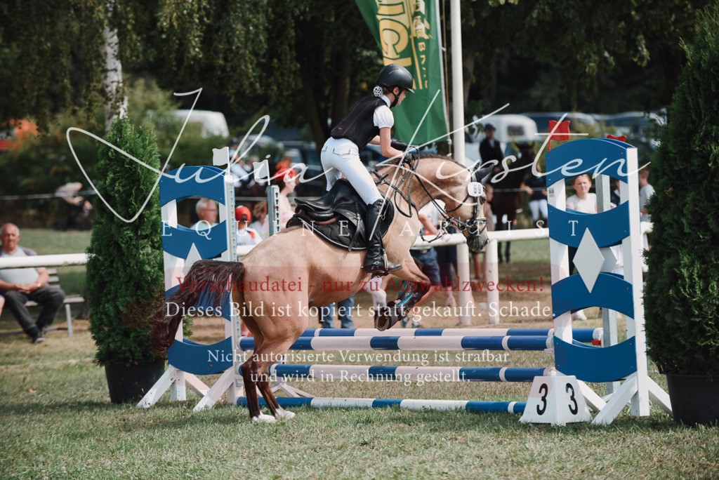 DSC_5861 | Pferde- und Turnierfotografie in Westsachsen. Pferdeportraits, Auftragszeichnungen und intuitive Kunst.