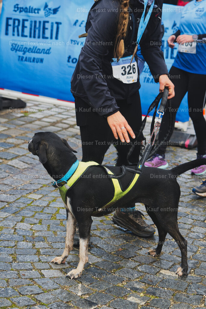 cineathletes-huegelland-2025-11-09-12-19-48 | Sportfotografie rund um Obstacle Course Racing und Trail Run - Realisiert mit Pictrs.com