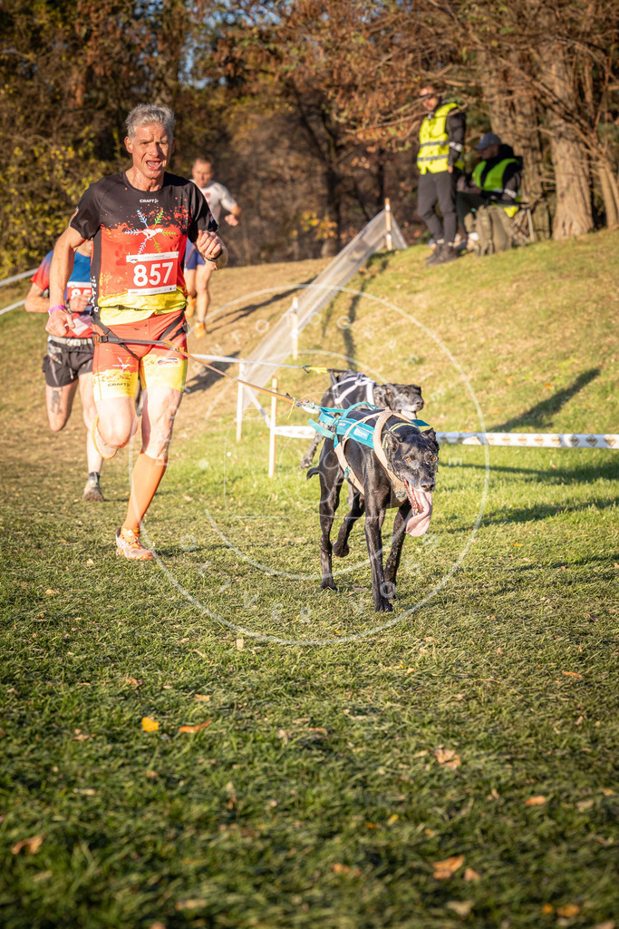 CaniXpix_0L8A0896 | Hundefotografie, Tierfotograf, Pfotenfotografie, Fotoshooting Hund, Hunde Portrait, Hundesport, Hundeportraits, Heideshooting, Hunde, Sportfotograf, Hundefotograf, Turnierhundsport, THS,  - Realisiert mit Pictrs.com