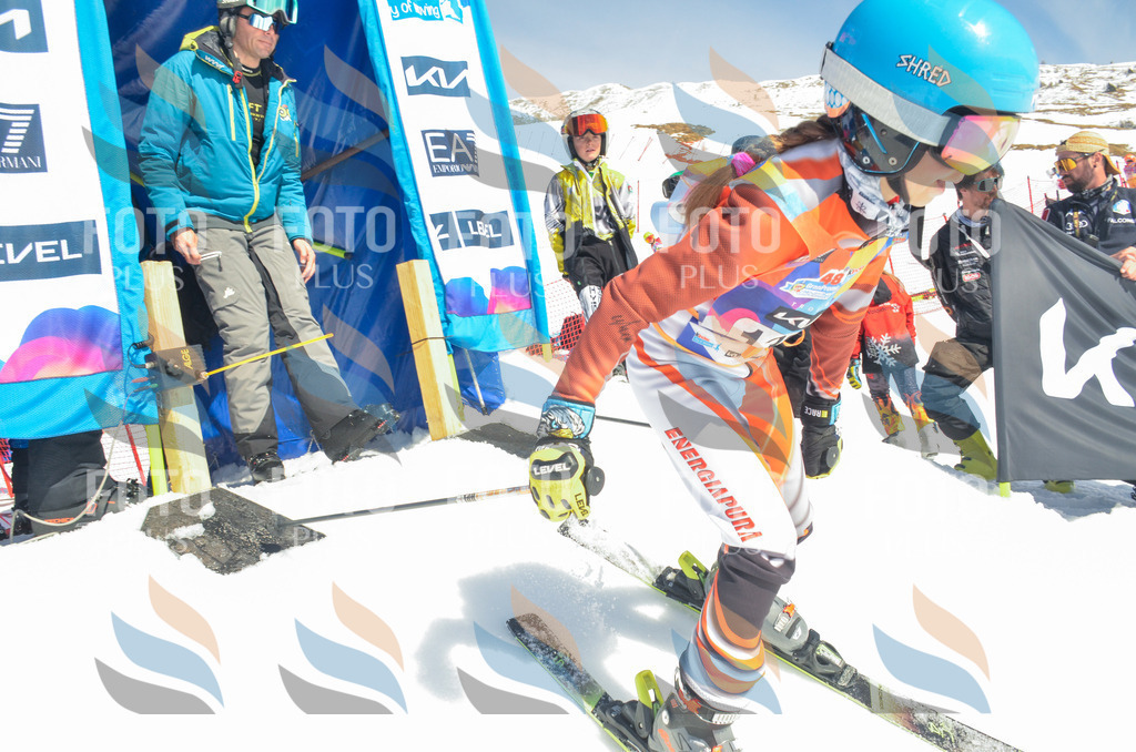 _ELE6110 | holidayphoto