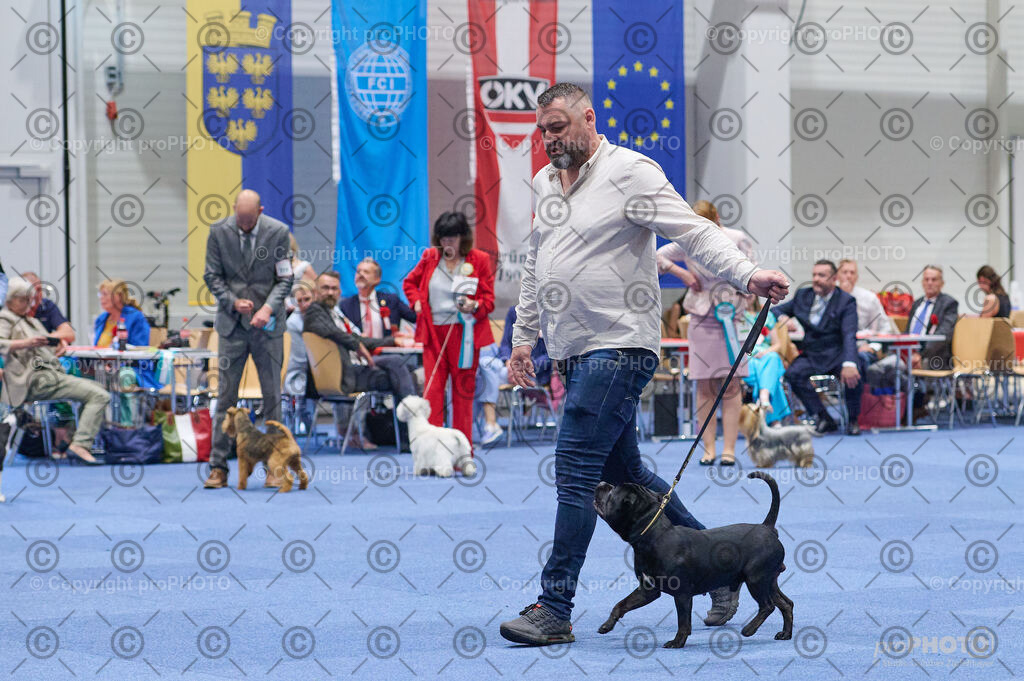 202406_ÖKV-IHA-Tulln24_DSC_2973 | proPHOTO - Realisiert mit Pictrs.com