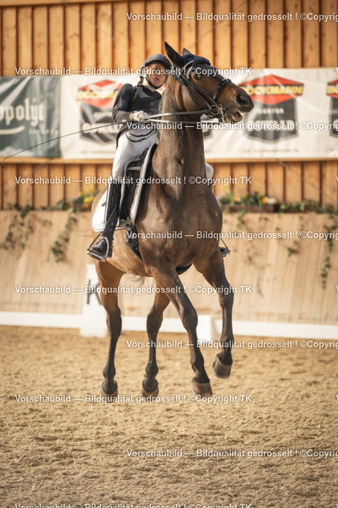 _D5A3416 | Emotionale Pferde- & People-Fotografie rund um Heidelberg, Leimen & Umgebung. Natürliche Fotos von Pferd, Mensch & Familie. Jetzt Termin sichern!