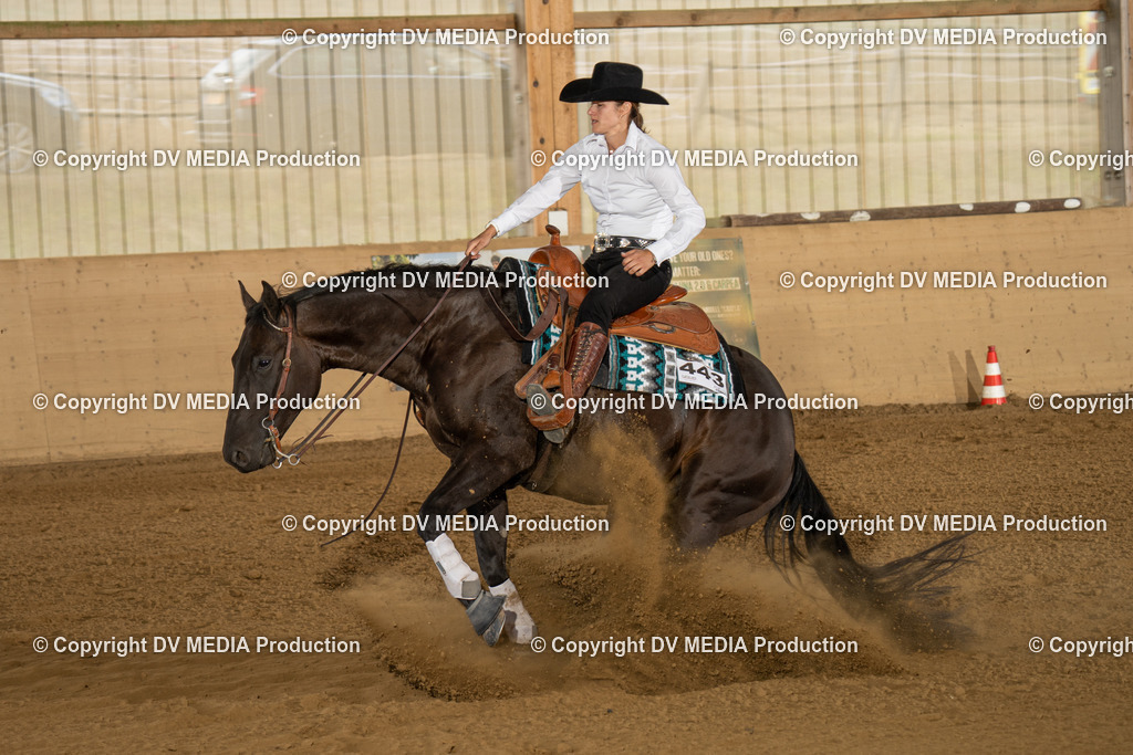 LAU01834 | dv-media-shop - Realisiert mit Pictrs.com