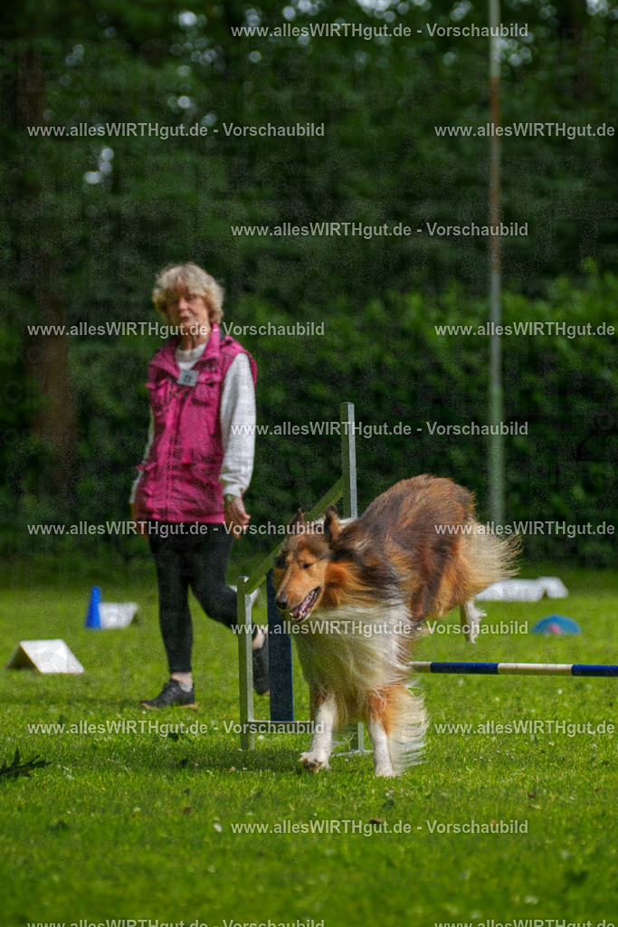 @allesWIRTHgut_Tierfotografie - www.allesWIRTHgut.de - 094954-7R507675 | Professionelle Tierfotografie in Mönchengladbach von Daniel Wirth (allesWIRTHgut). Liebevolle & natürliche Bilder von Hunden & Katzen für unvergessliche Erinnerungen.