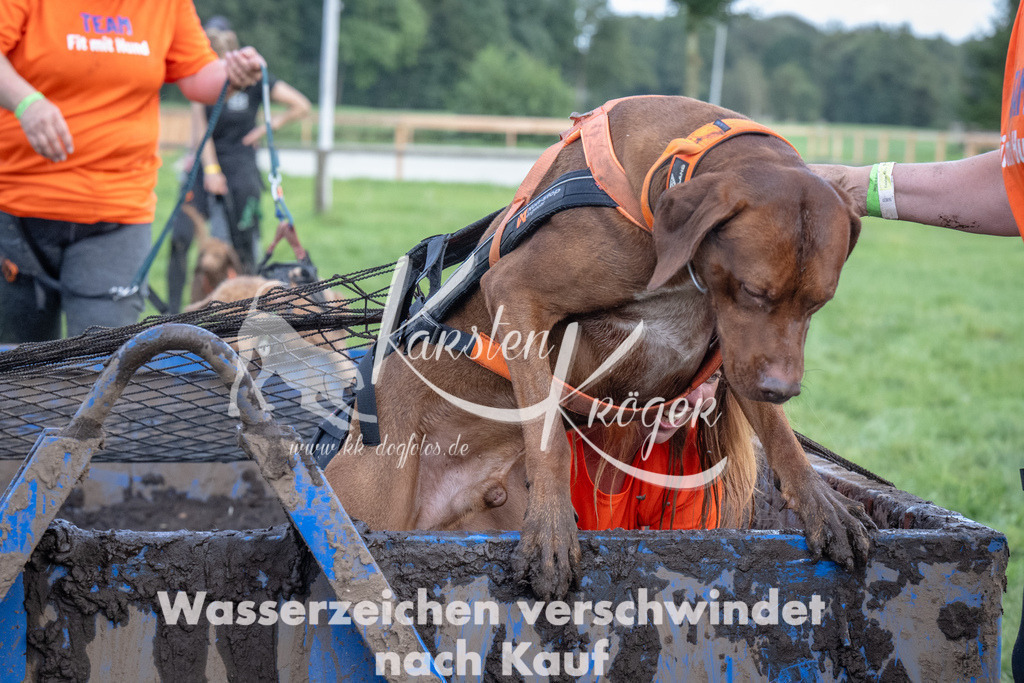 1440_ZZ93126 | kk-dogfotos