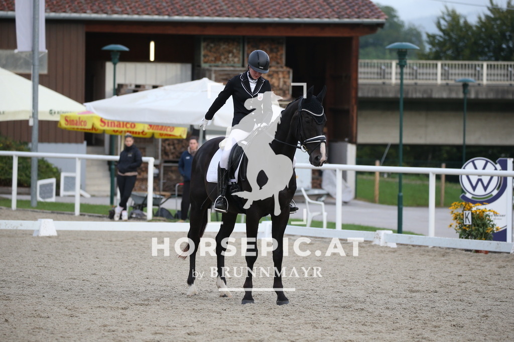 DL2Q1306 | Willkommen bei Brunnmayr - Design & Fotografie – Ihrem Spezialisten für Reitturniere und Pferdeveranstaltungen in Oberösterreich, Salzburg und Bayern! Seit über 17 Jahren sind wir leidenschaftlich dabei.