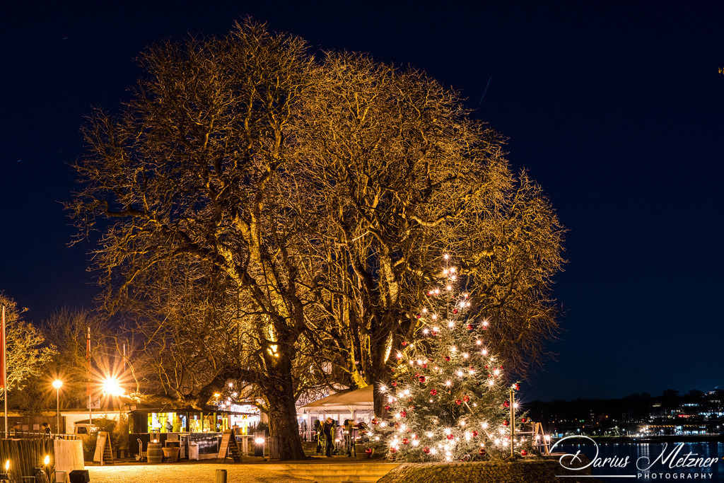 Weihnachten in Mainz | Bilder mit Weihnachtsstimmung aus Mainz am Rhein