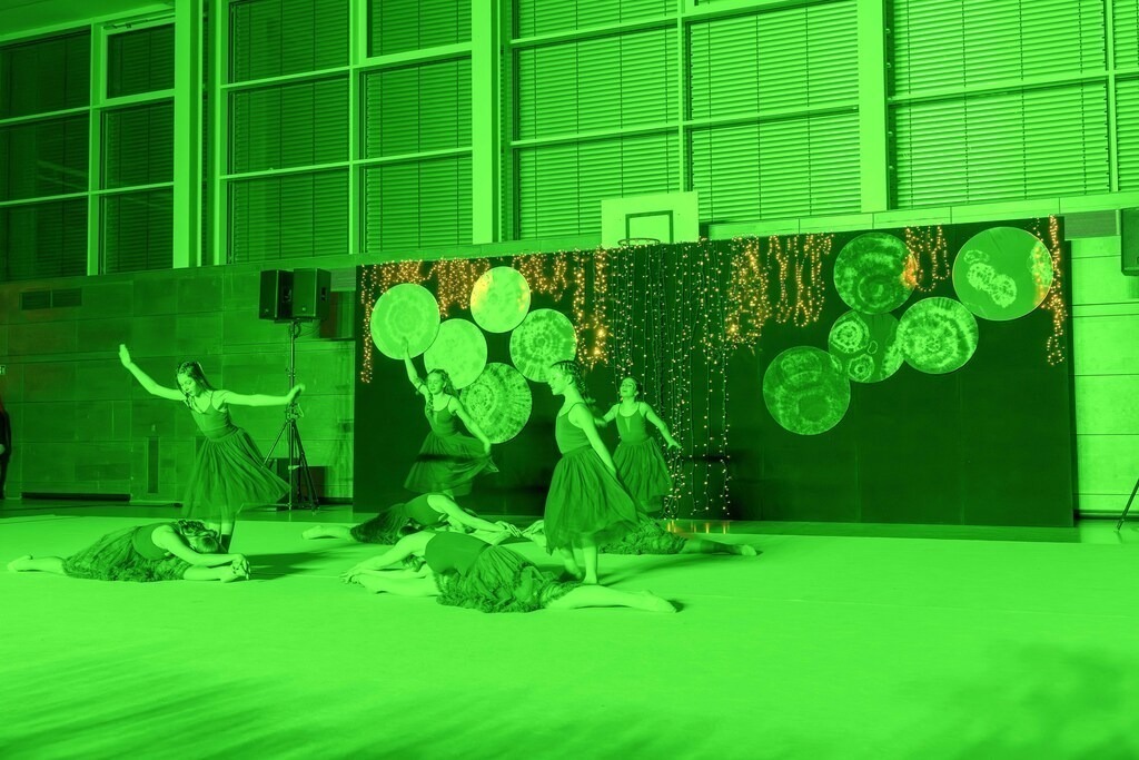 DSC05796 | Viel Spaß beim Anschauen und Herunterladen