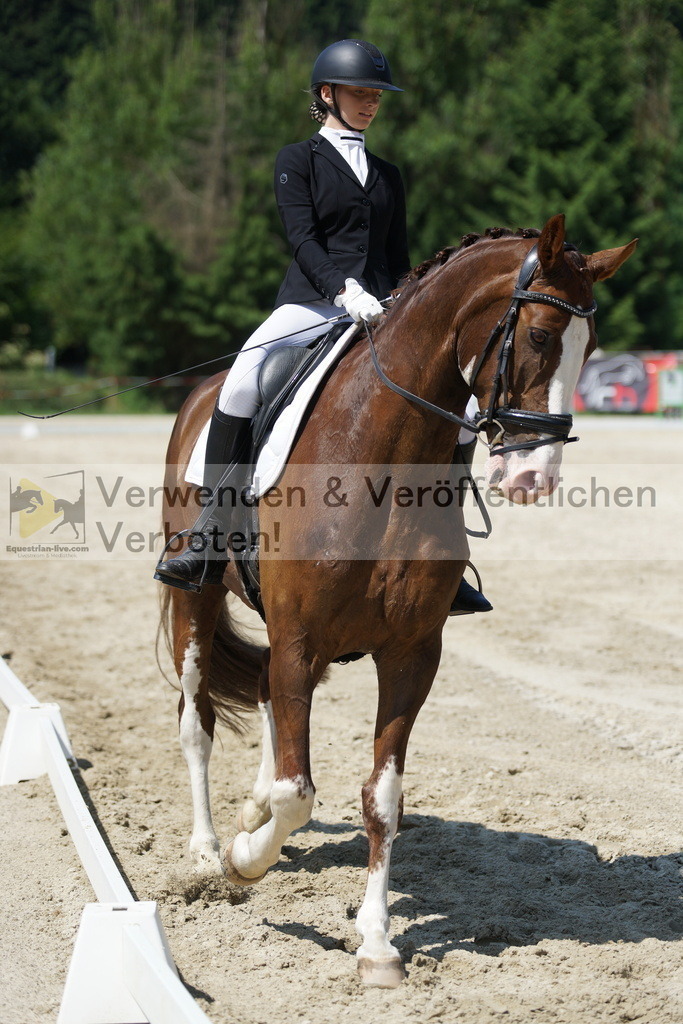 DSC01638 | equestrian-live-com