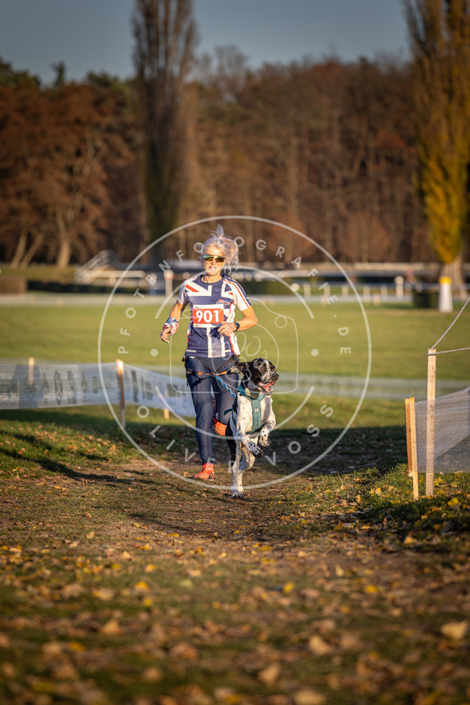 CaniXpix_DV3A4603 | Hundefotografie, Tierfotograf, Pfotenfotografie, Fotoshooting Hund, Hunde Portrait, Hundesport, Hundeportraits, Heideshooting, Hunde, Sportfotograf, Hundefotograf, Turnierhundsport, THS,  - Realisiert mit Pictrs.com