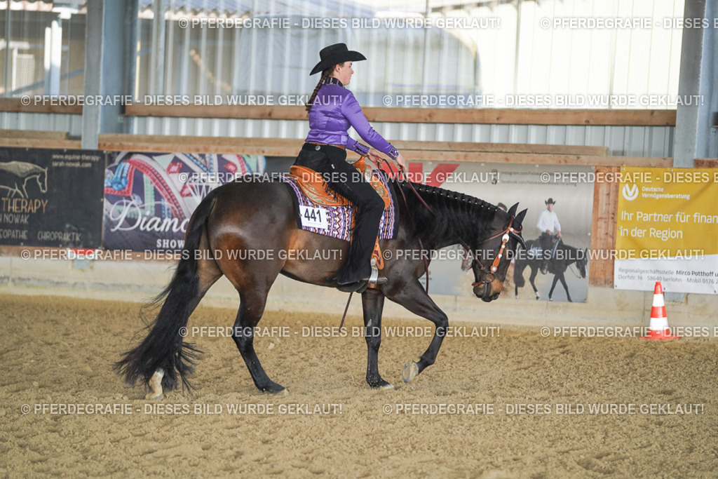 DSC08992 | Pferdegrafie