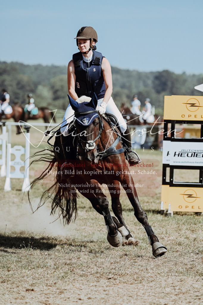 DSC_0006 | Pferde- und Turnierfotografie in Westsachsen. Pferdeportraits, Auftragszeichnungen und intuitive Kunst.