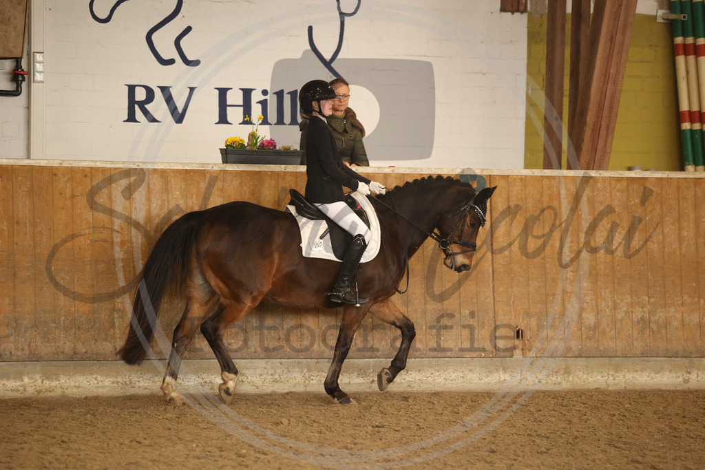 994A9136 | sabrinanicolaifotografie - Realisiert mit Pictrs.com