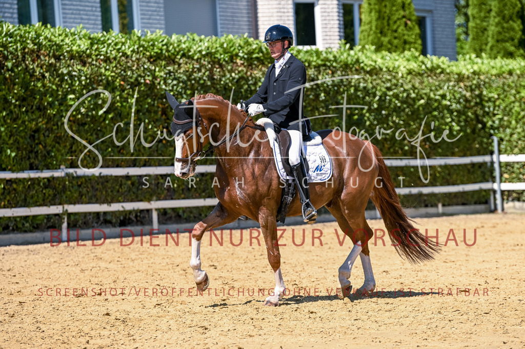 Schugtsche-Aluta25-50.Dressurpferdeprf.L-12 | Schugtsche Fotografie - Realisiert mit Pictrs.com