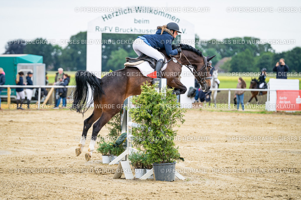 DSC05951 | Pferdegrafie