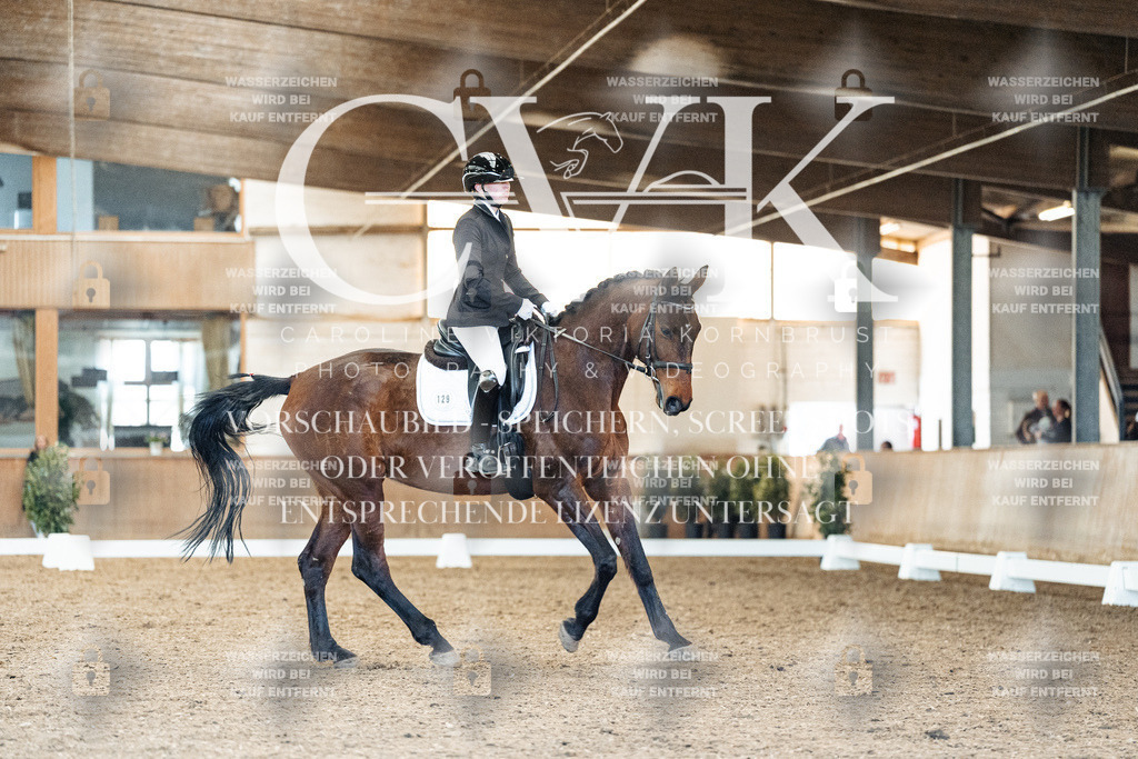 CK908847 | Turnierfotografie Pferdefotografie Trier Rheinland-Pfalz Pferdesport Reitsport Tierfotografie Sportfotografie Pferdevideo Pferdevideografie Equestrianvideography equestrianphotography  - Realized with Pictrs.com