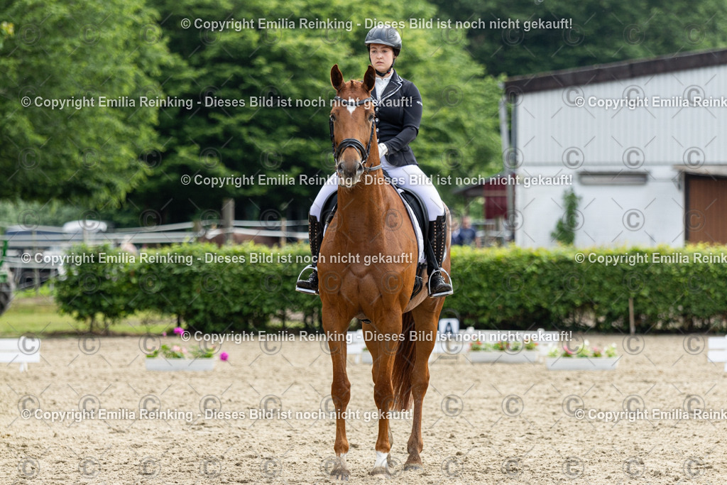 CL5A4980 | Emilia Reinking Fotografie - Realisiert mit Pictrs.com