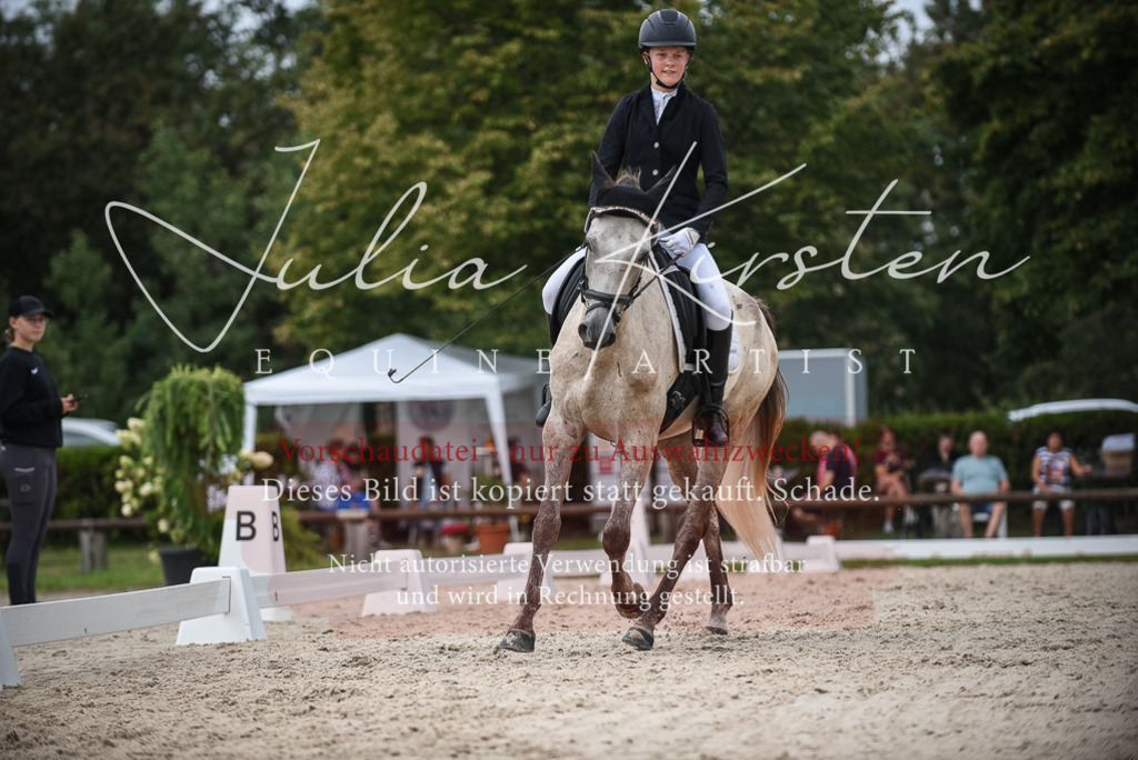 DSC_8231 | Pferde- und Turnierfotografie in Westsachsen. Pferdeportraits, Auftragszeichnungen und intuitive Kunst.