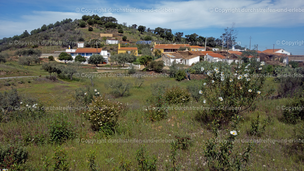 Lackzistrosen vorm Dorf Vaqueiros, Algarve | Lackzistrosen vorm Dorf Vaqueiros, Algarve - Realisiert mit Pictrs.com