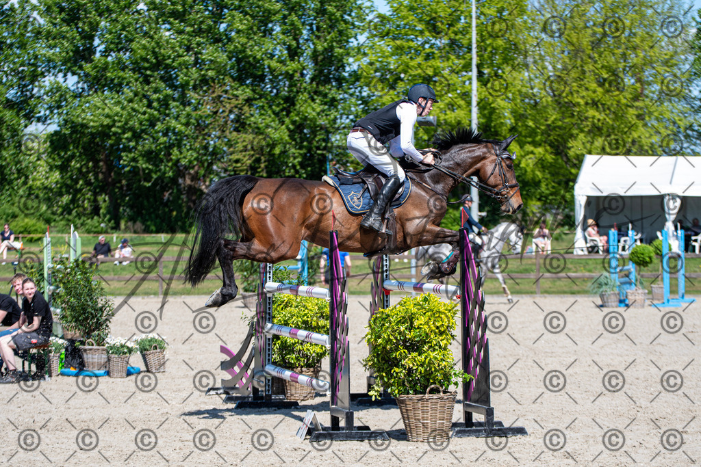 KPT_1154 | andre_photographic