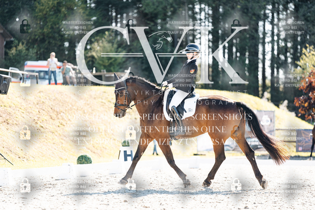 CK905661 | Turnierfotografie Pferdefotografie Trier Rheinland-Pfalz Pferdesport Reitsport Tierfotografie Sportfotografie Pferdevideo Pferdevideografie Equestrianvideography equestrianphotography  - Realisiert mit Pictrs.com