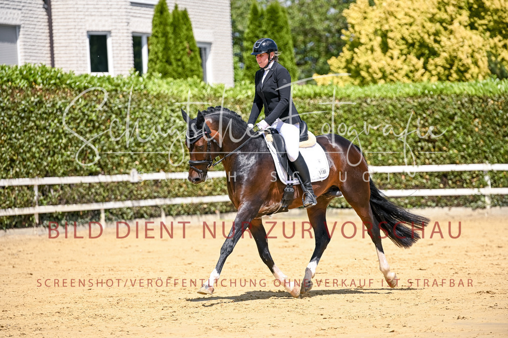 Schugtsche-Aluta25-49.Dressurpferdeprf.A-200 | Schugtsche Fotografie - Realisiert mit Pictrs.com