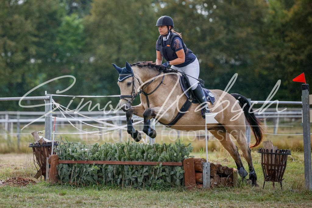 20250905-_3LI0903 | Tierfotografie Pferde, Hunde, Katzen, Haustiere.
Turnierfotografie Reitturniere, Reiten, Springreiten, Dressur in Hanau, dem Main-Kinzig-Kreis und dem Rhein-Main- Gebiet um Frankfurt