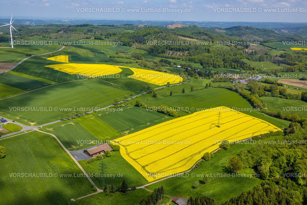 Sundern230504520Hoevel | Luftbild, Rapsfelder nahe der Bundesstraße 229, Naturpark Sauerland-Rothaargebirge, Estinghausen, Sundern, Sauerland, Nordrhein-Westfalen, Deutschland