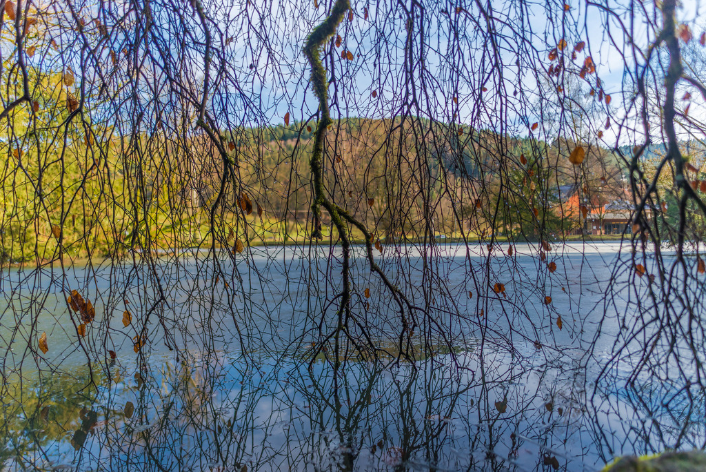 waldsee_160126-12 | <div id="allefotografen-seal-verified-green"></div><script src="https://www.allefotografen.de/956728/seal-verified-green/seal.js" async="async"></script> - Realisiert mit Pictrs.com