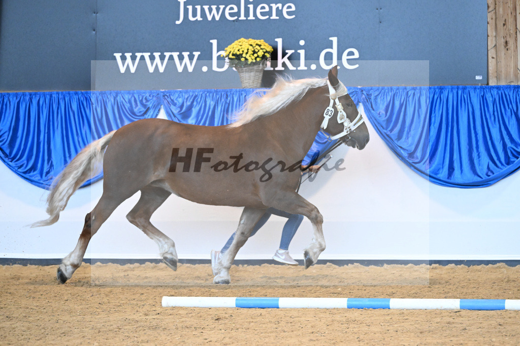 Kat-Nr. 83 Ulla_Ebenbeck_53220441 | hf-fotografie - Realisiert mit Pictrs.com